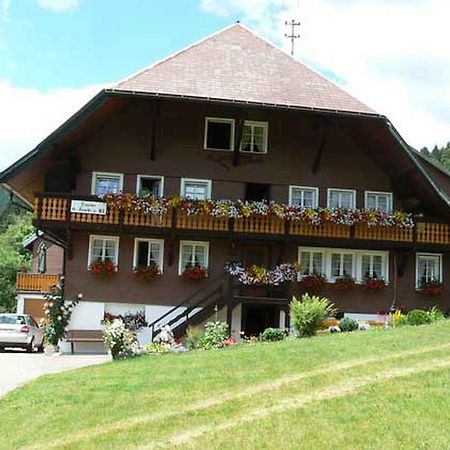 Gaestehaus Klingele Todtmoos Extérieur photo