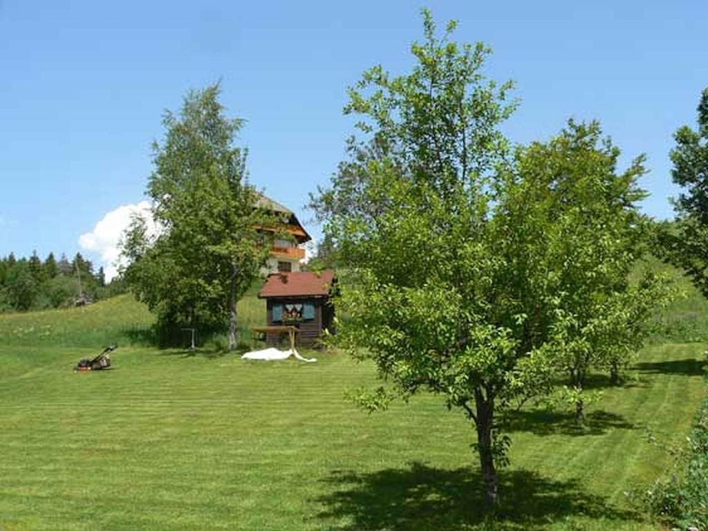 Gaestehaus Klingele Todtmoos Extérieur photo